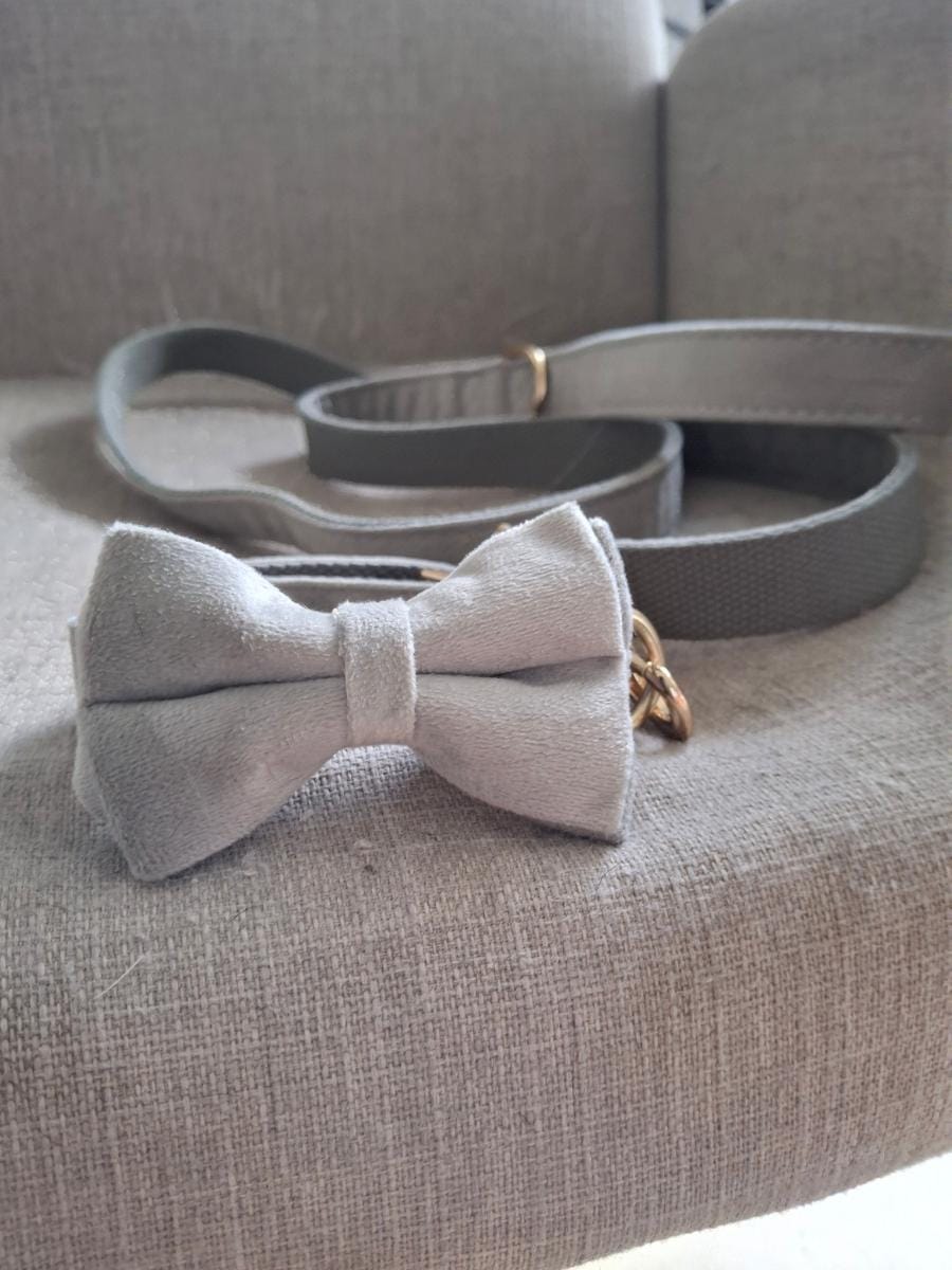 Brume grey velvet dog leash from the Nœud Papillon collection by Aïda Dog Coach