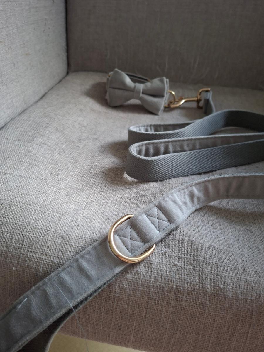 Brume grey velvet dog leash from the Nœud Papillon collection by Aïda Dog Coach