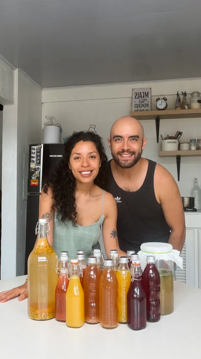Miau Miau Kombucha