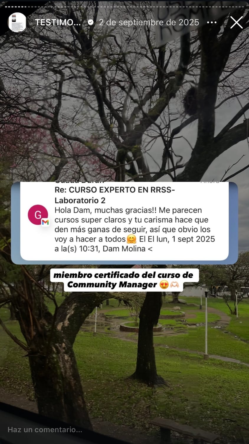 Testimonio