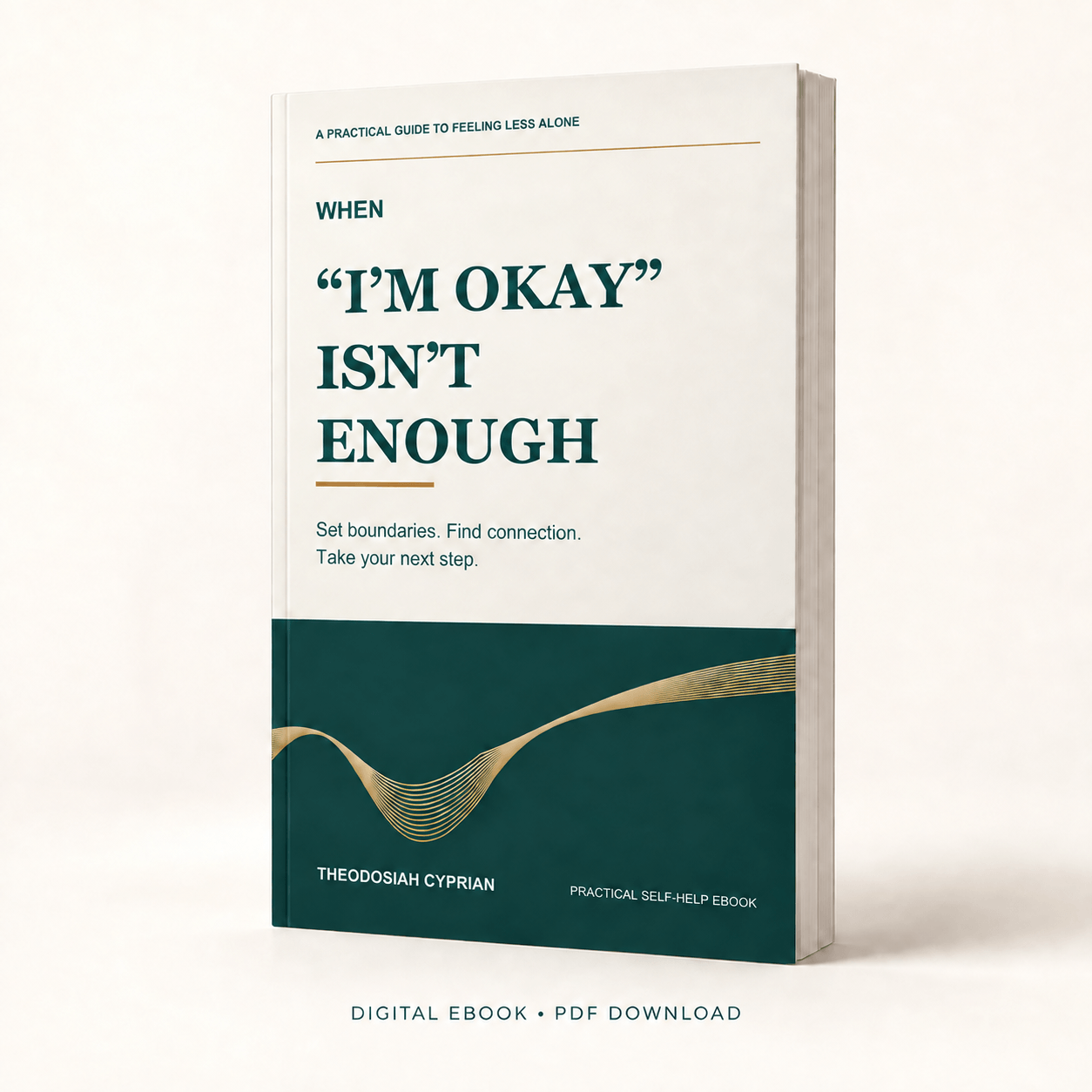 When I'm Okay Isn't Enough — book cover