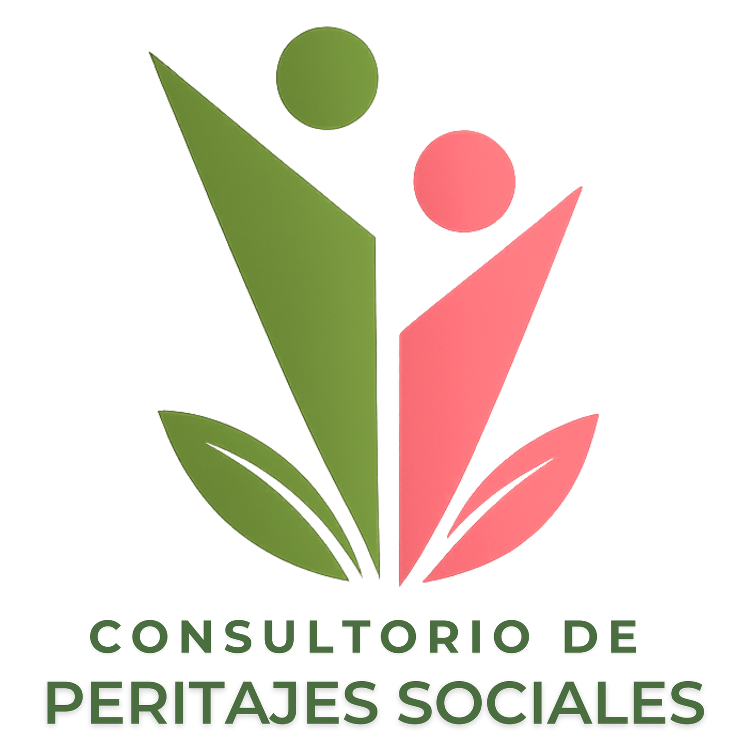 CONSULTORIO DE PERITAJES SOCIALES