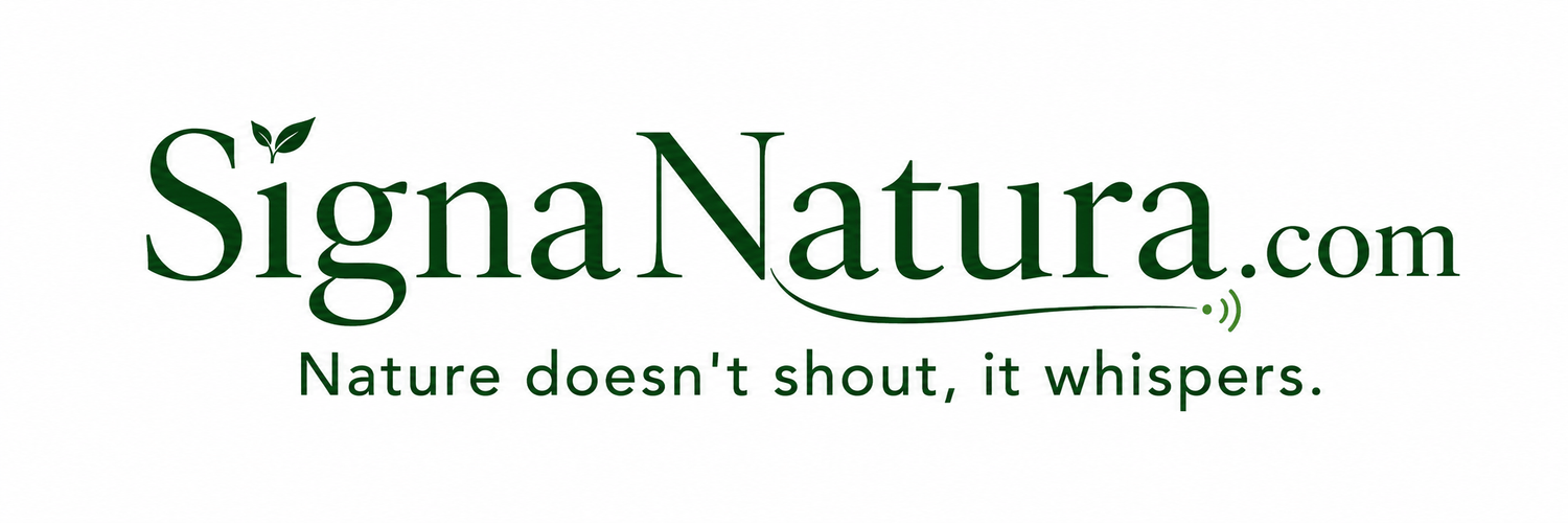 YOURLOGO