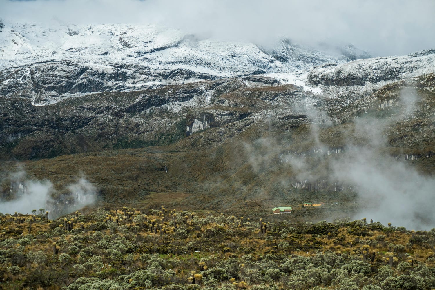 P.N.N. Los Nevados