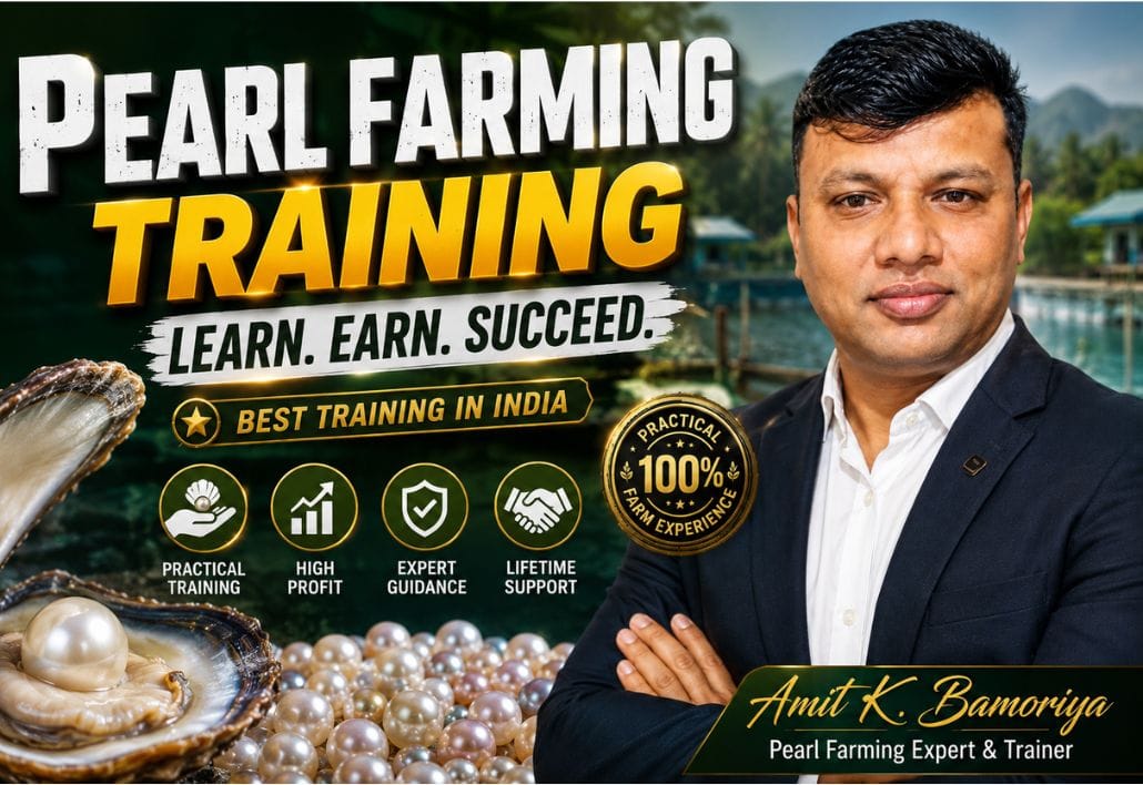 Best Pearl Farming Training in India Complete Beginner Guide Pearl Farming Expert Amit Bamoriya