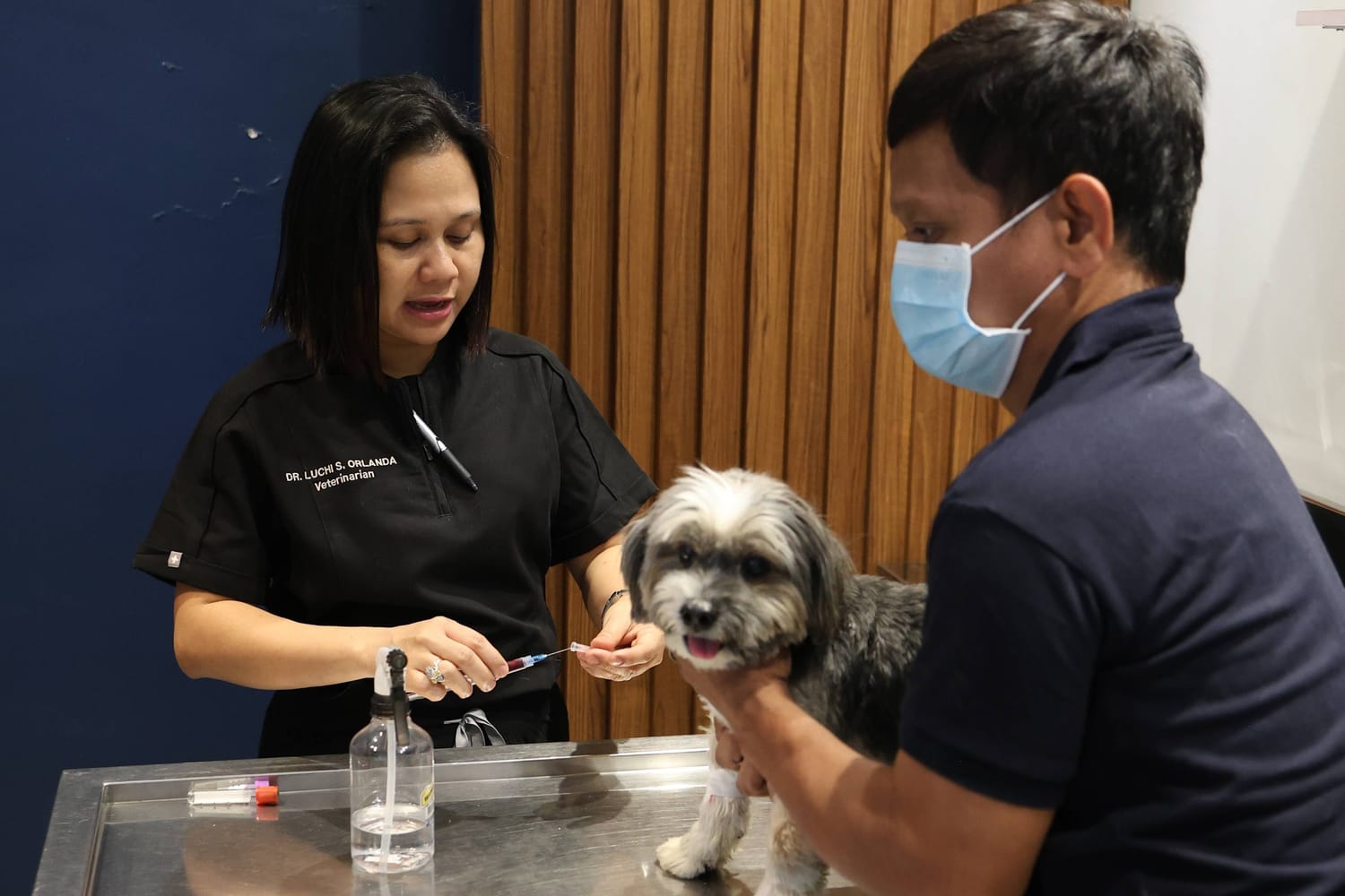 Professional Veterinary Team