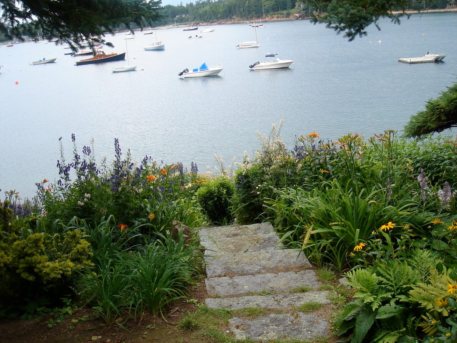 Picture of path leading to water with boats