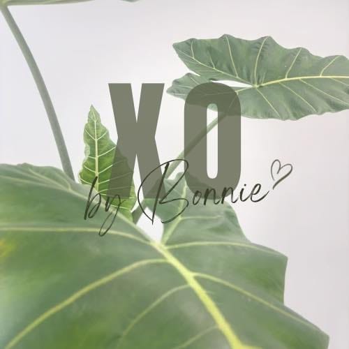 XO Hair + Nails Dalby
