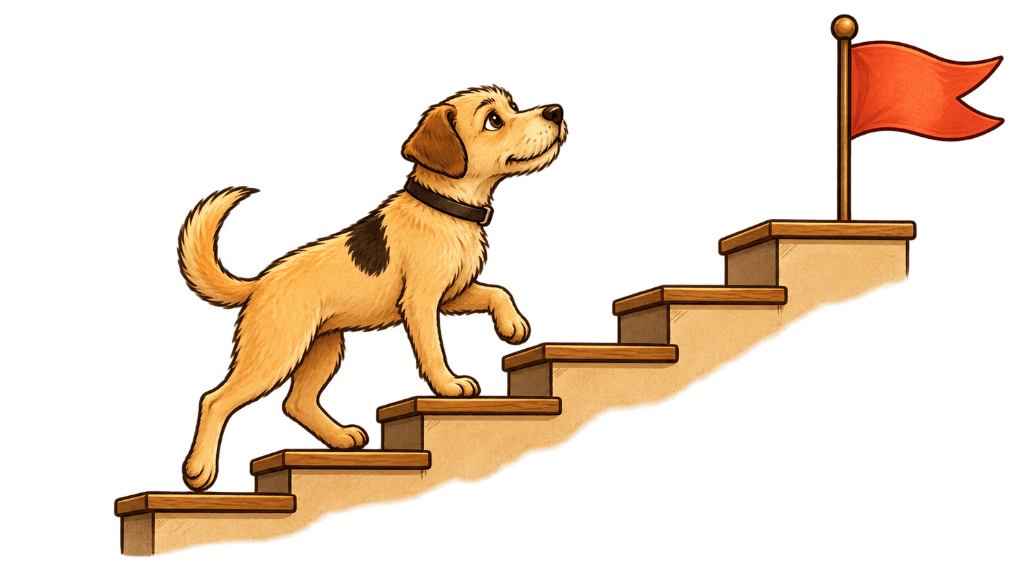 Perro avanzando paso a paso