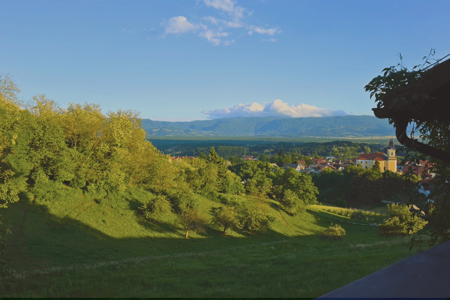 Panoramski razgled na dolenjske vinograde in naravo pri Zidanici domačih okusov
