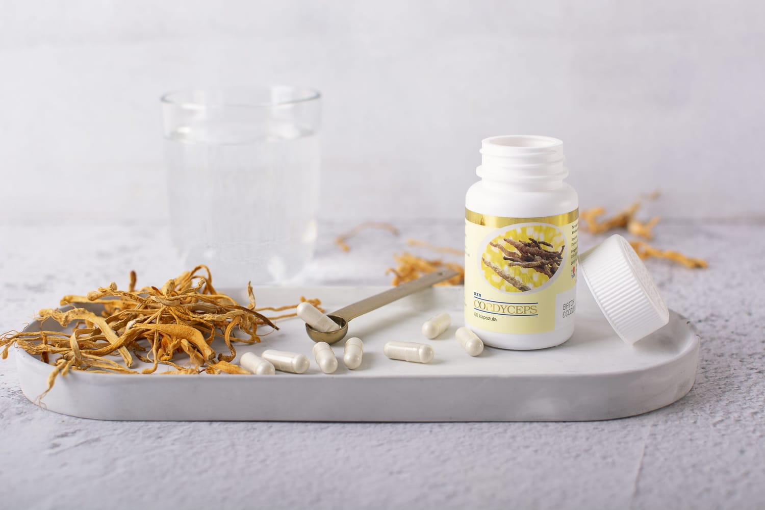 Cordyceps