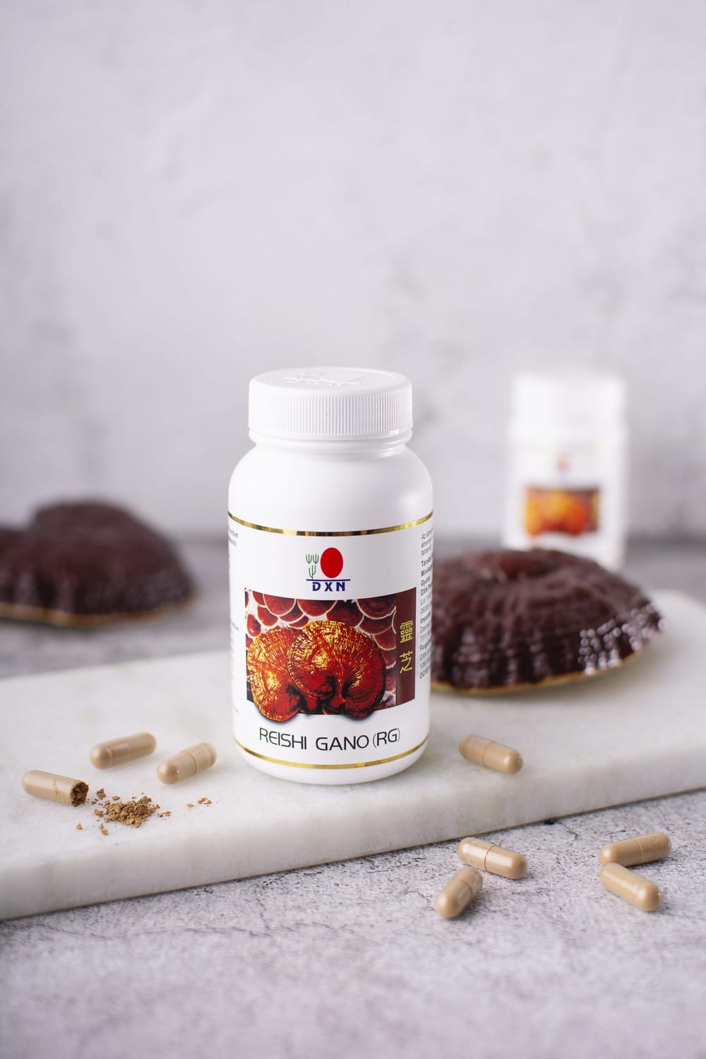 Reishi/ganoderma