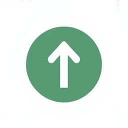 path choice icon