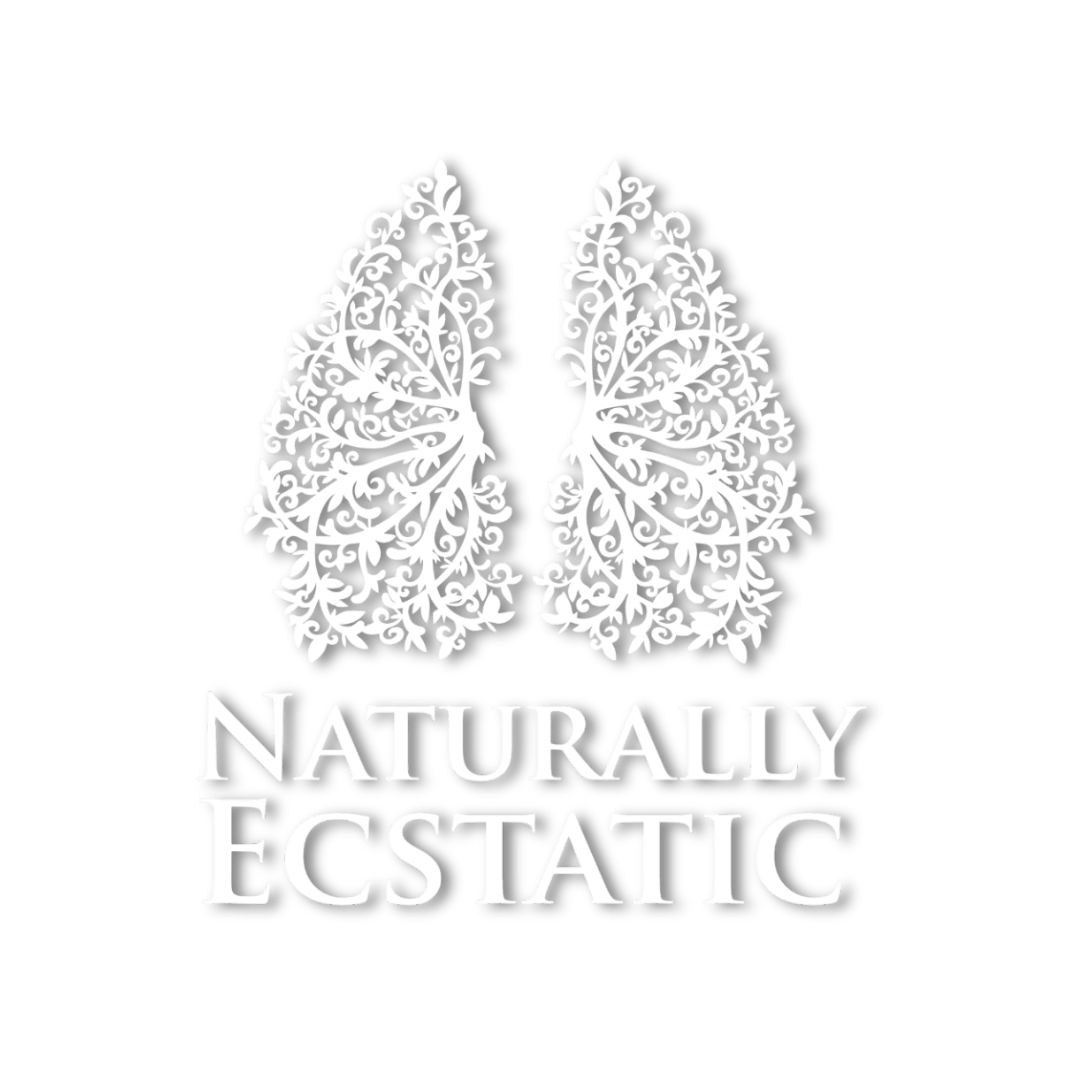 Geeks Lab LLC - Main SIte