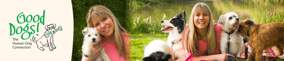 Sharon Bolt celebrity dog trainer with dogs — trusted by BBC, ITV & Channel 5, teaching online dog training courses, DVDs, eBooks & PLR content