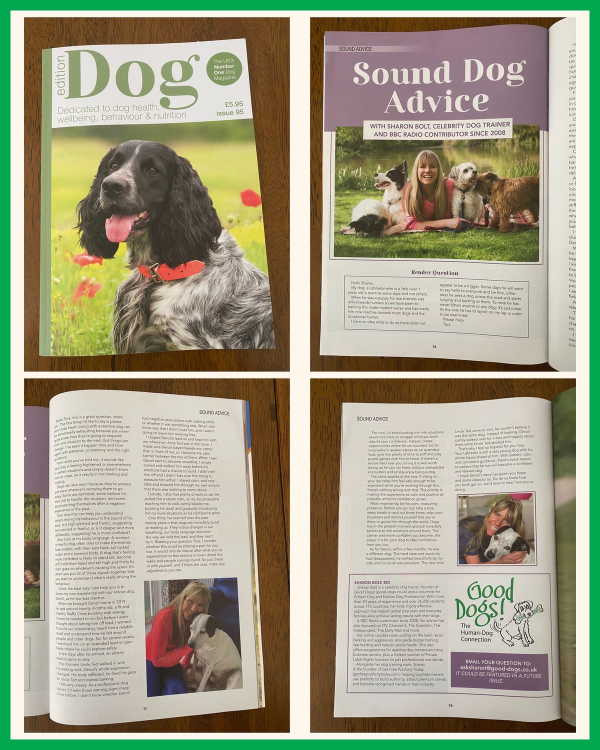 Sharon Bolt expert advice featured in The Guardian on overweight dogs