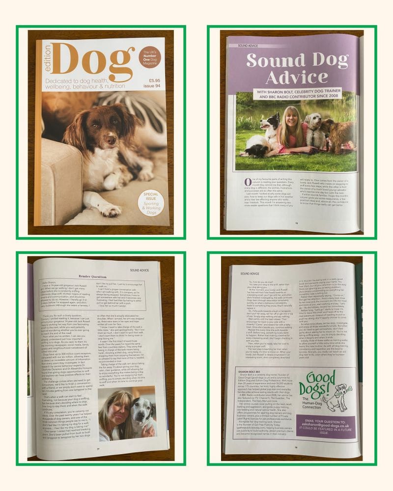 Sharon Bolt dog behaviour feature in The Independent