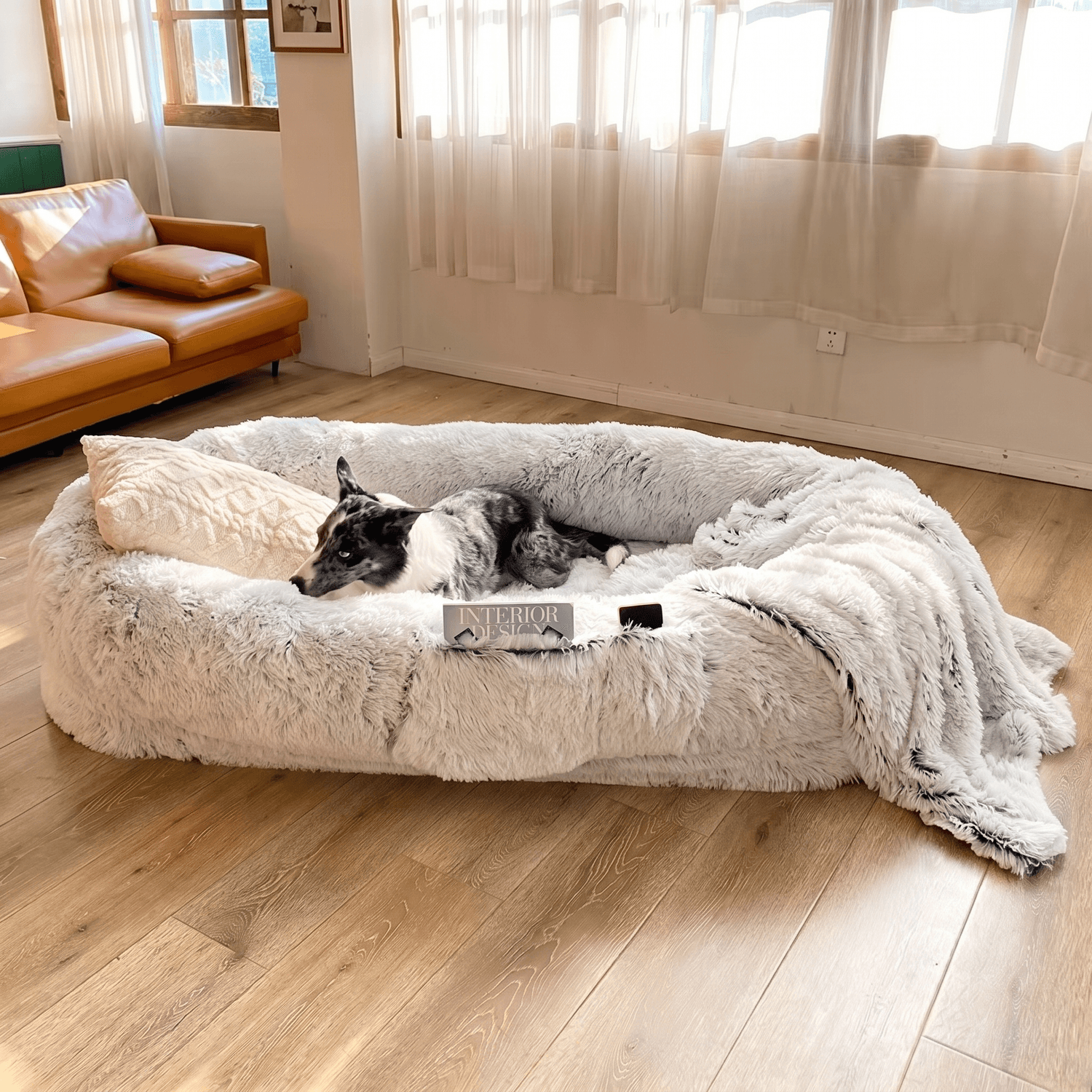 Human Dog Bed - Main
