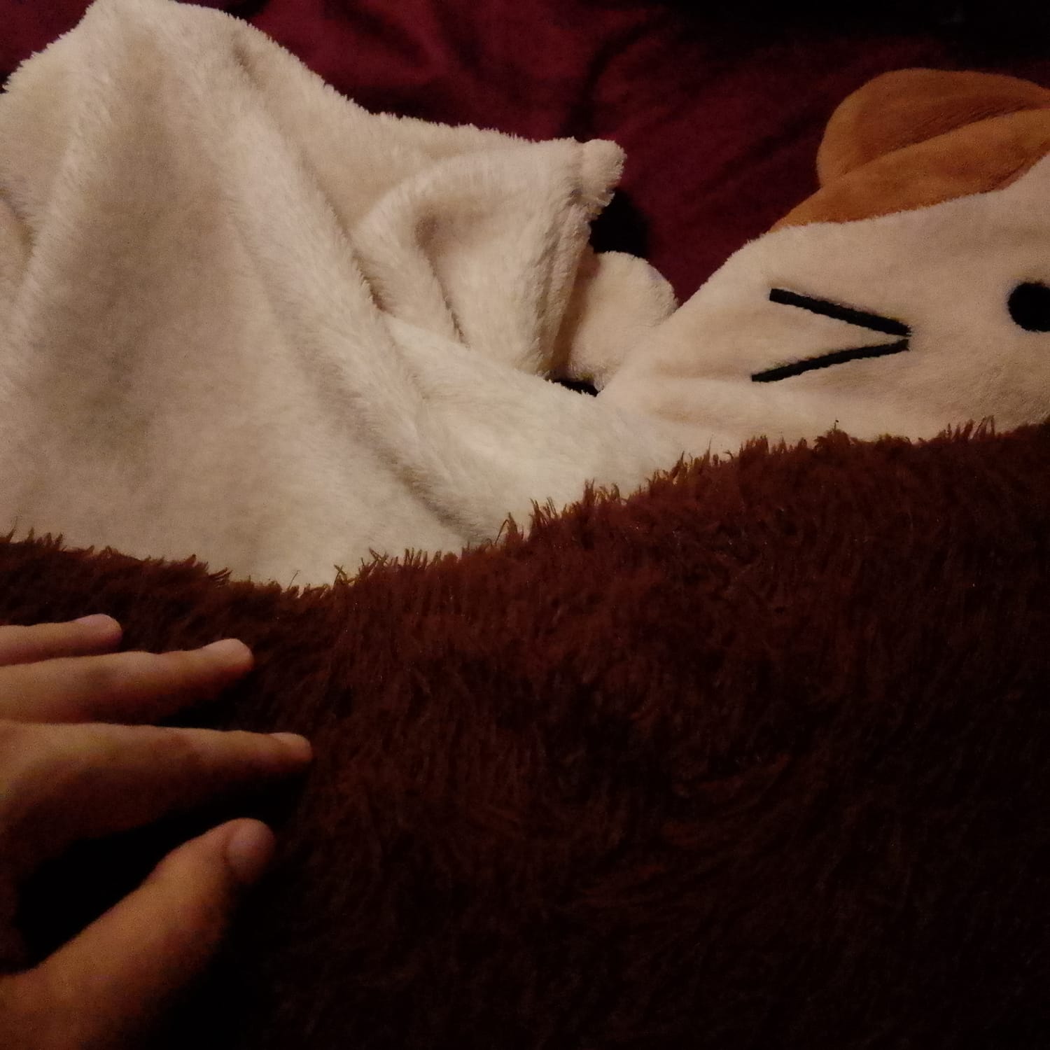 Angie Lovey's photography with her cozy blanket