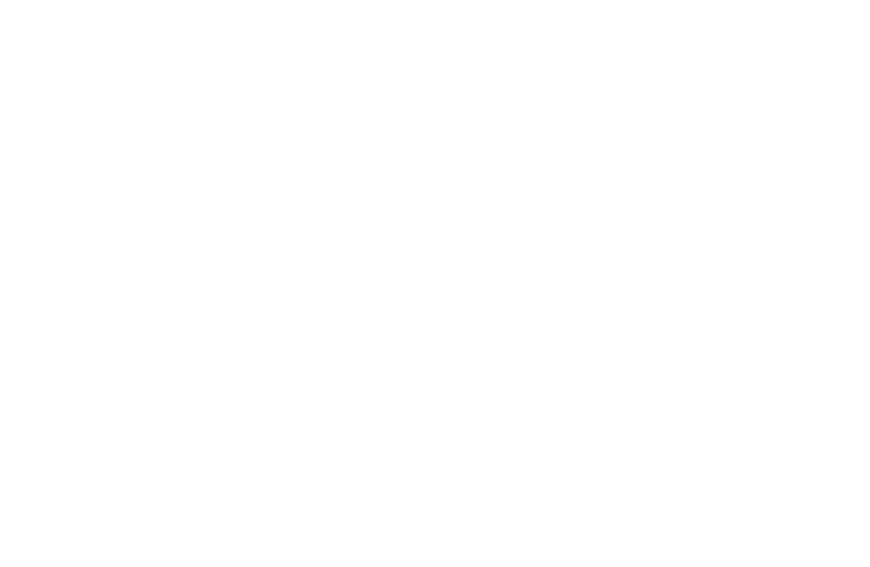 Caro Galvis | Floresser