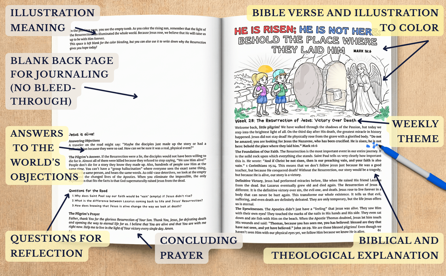 Systematic Theology Annotated 2-Page Open Workbook Spread Preview