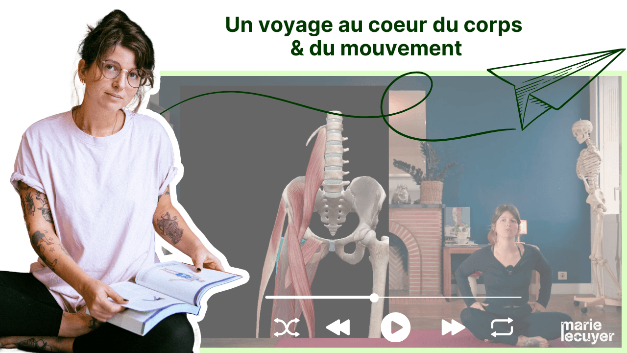 Yoga & Anatomie