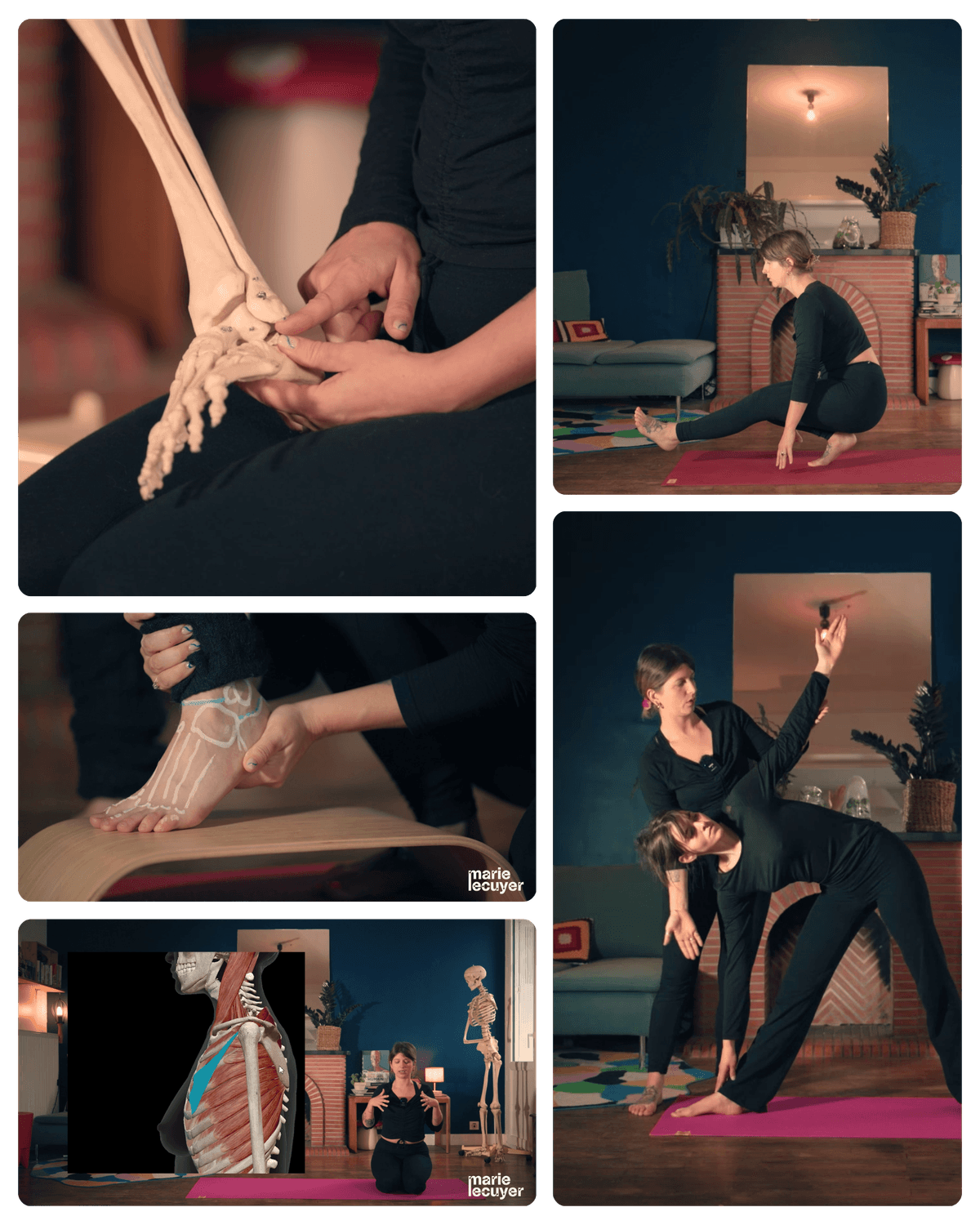 Formation yoga et anatomie