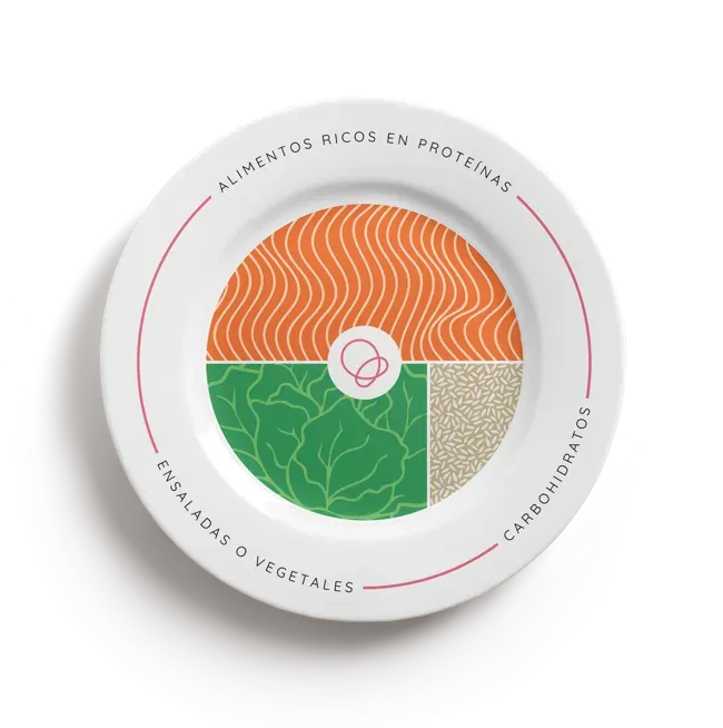 Plato Bariátrico Gordita Fit con sus divisiones originales