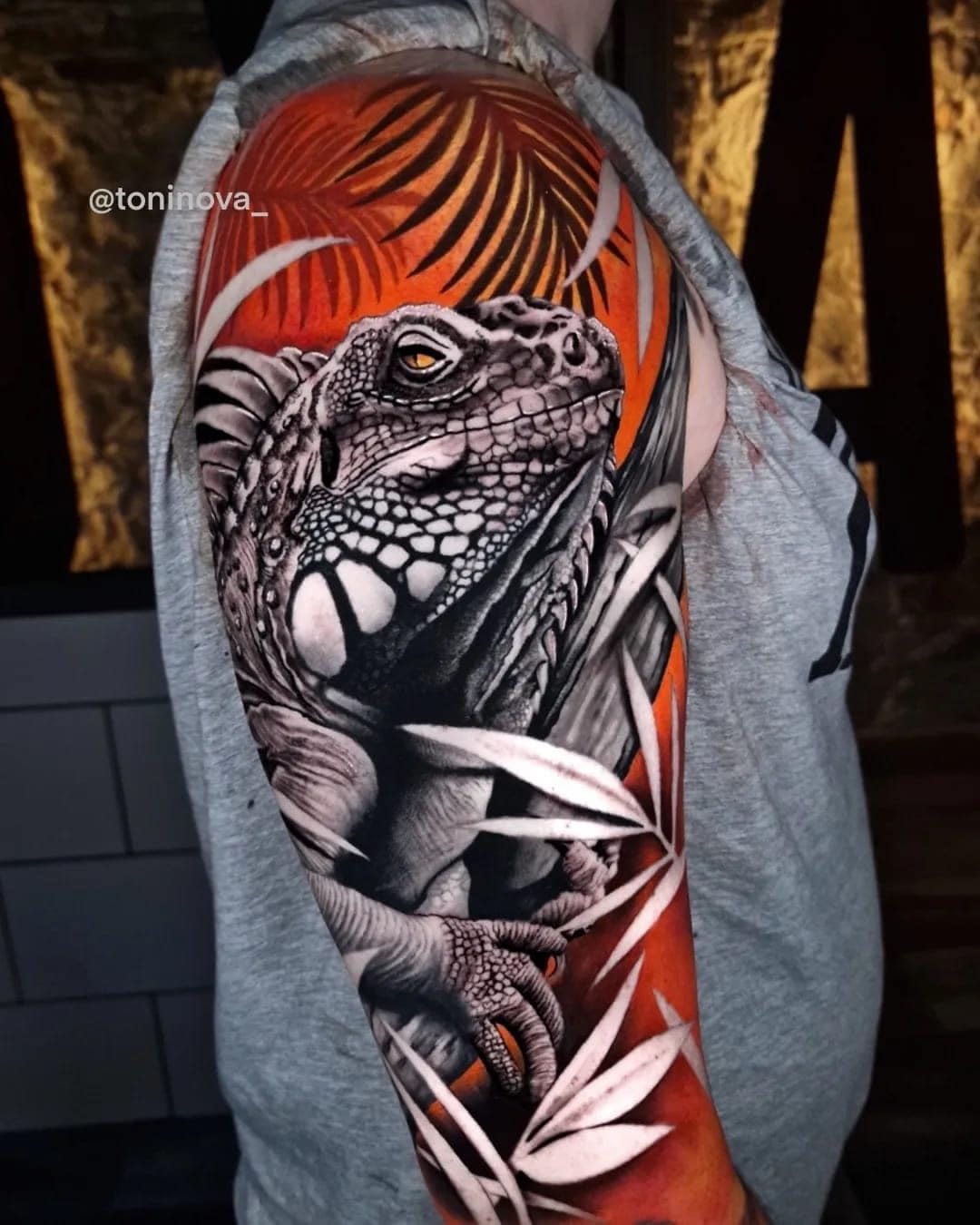 Trabajo de Toni Nova