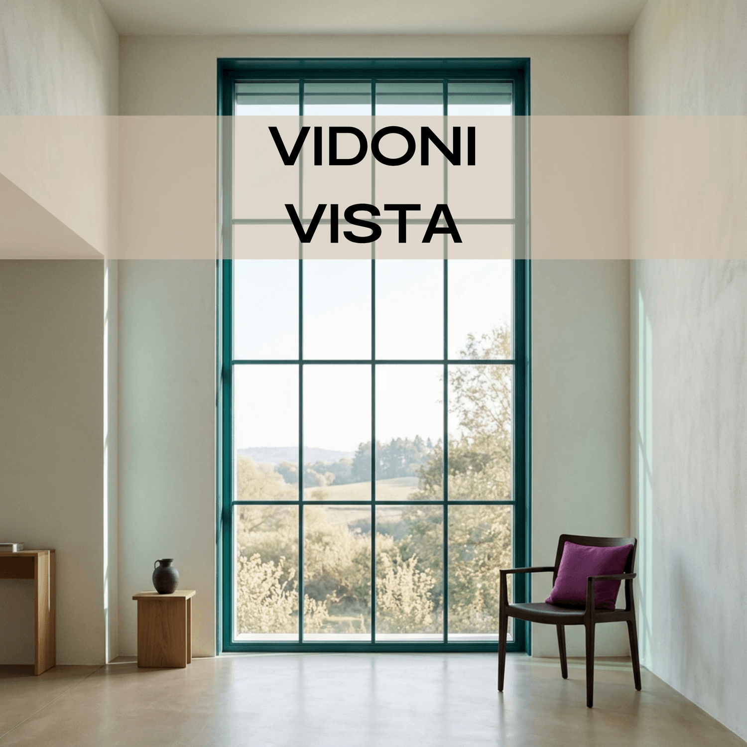 VIDONI Vista — Markenanalyse
