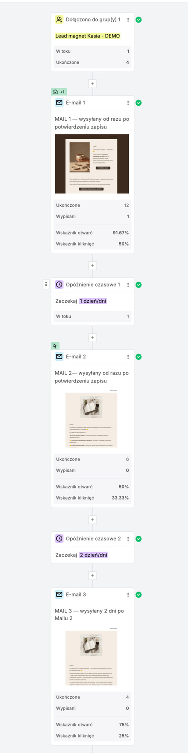Automatyzacja zapisu na lead magnet w MailerLite