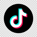 SEO Services on TikTok