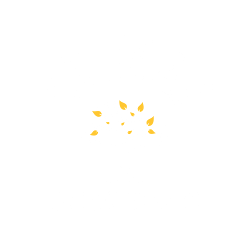 ATIWAZ, le choix est en toi