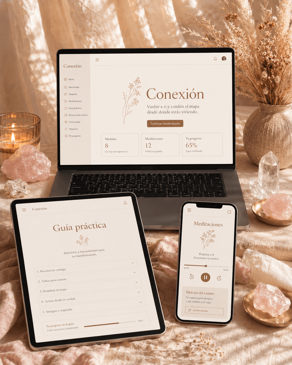 Programa Conexión