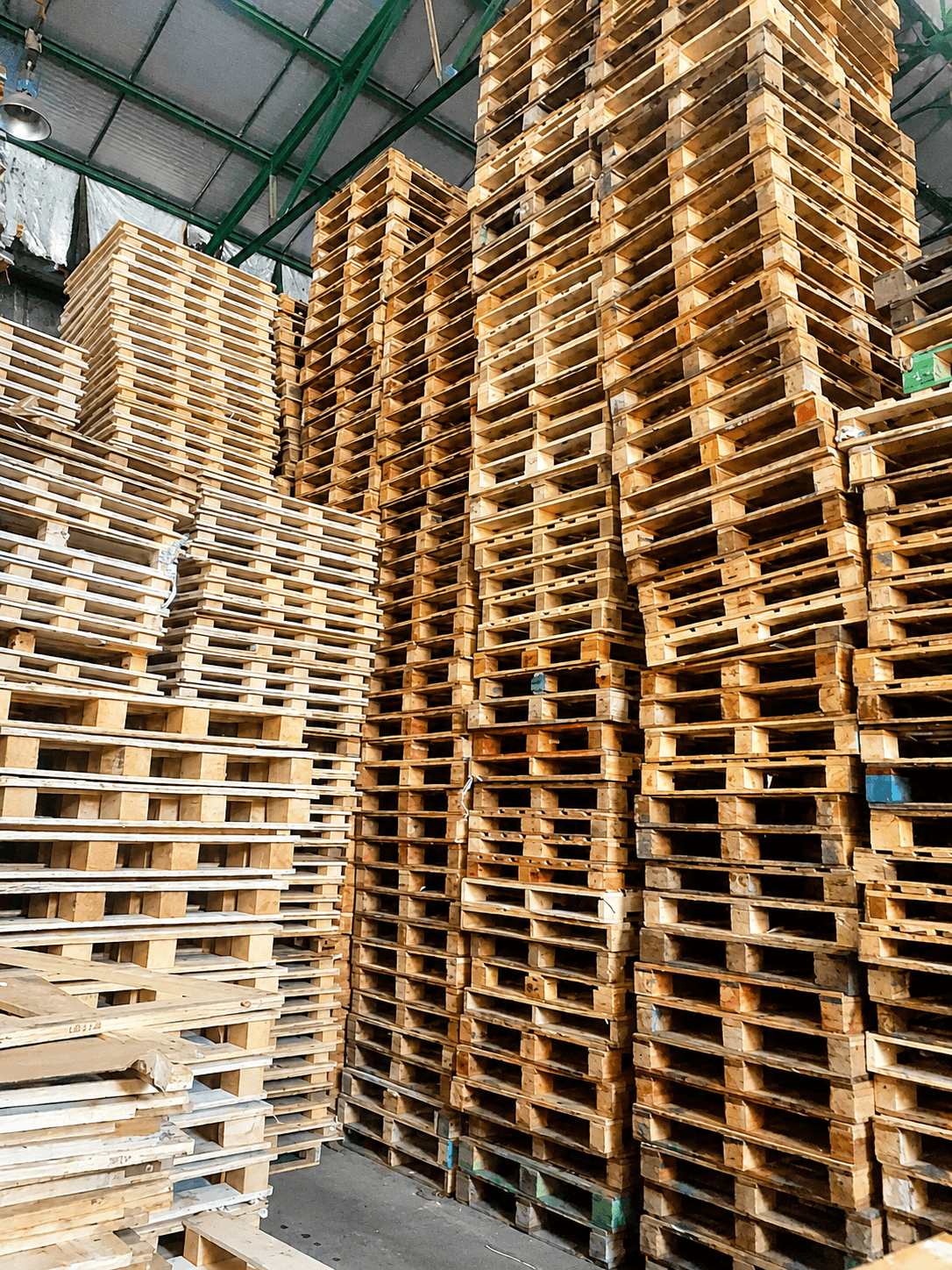 Pallets de madera