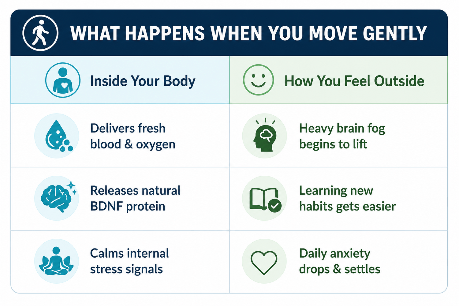 Why Does Brain Fog Clear When We Move Gently?