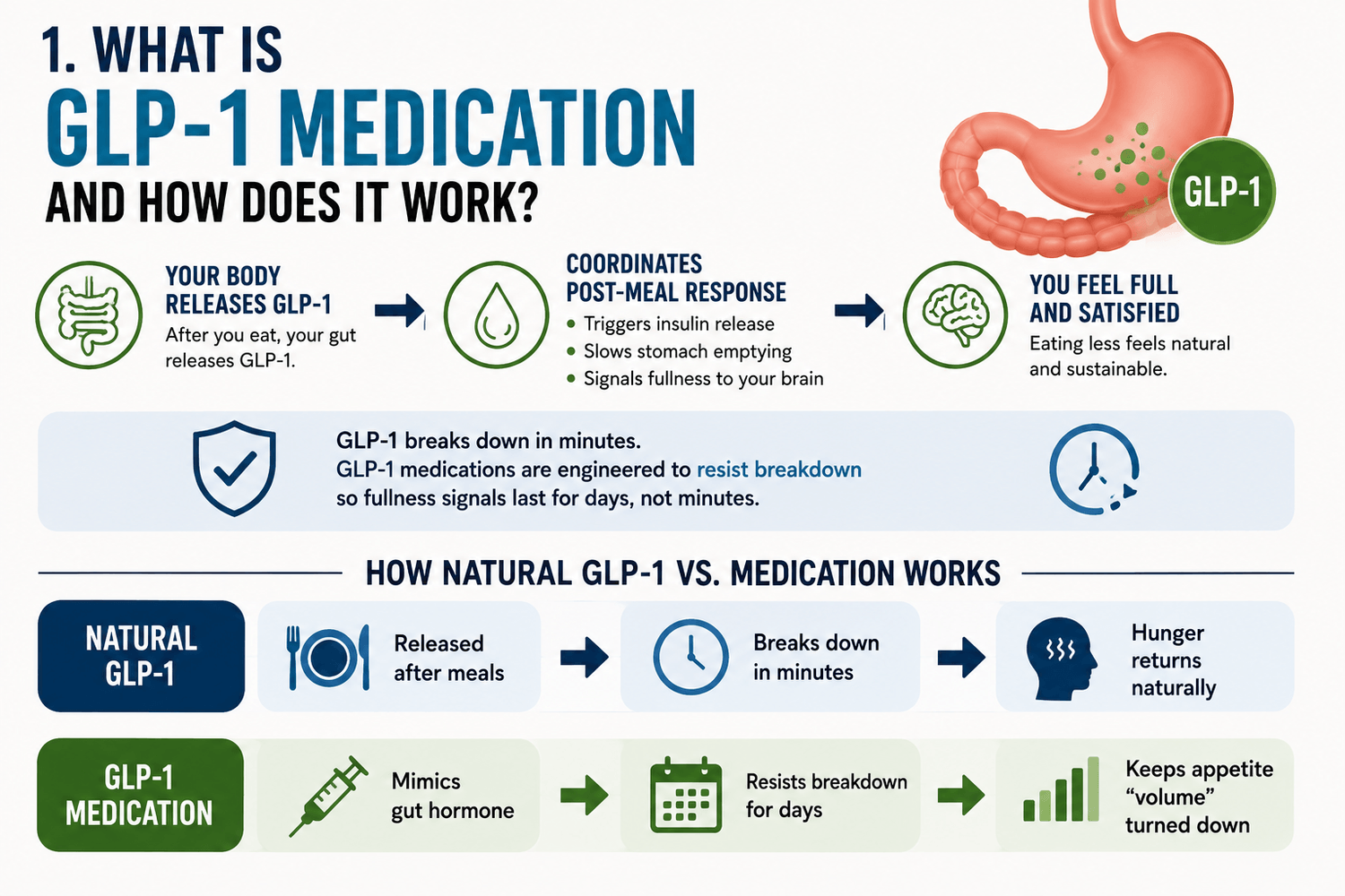 How GLP-1 medication Works - Natural Vs Medication