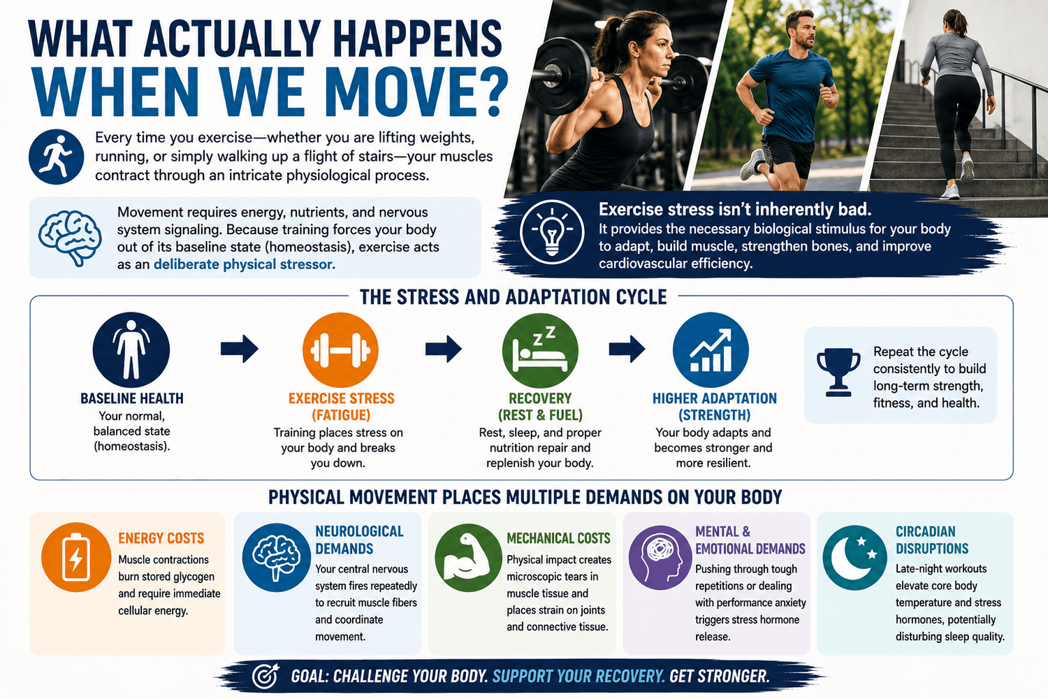 THE STRESS AND ADAPTATION CYCLE