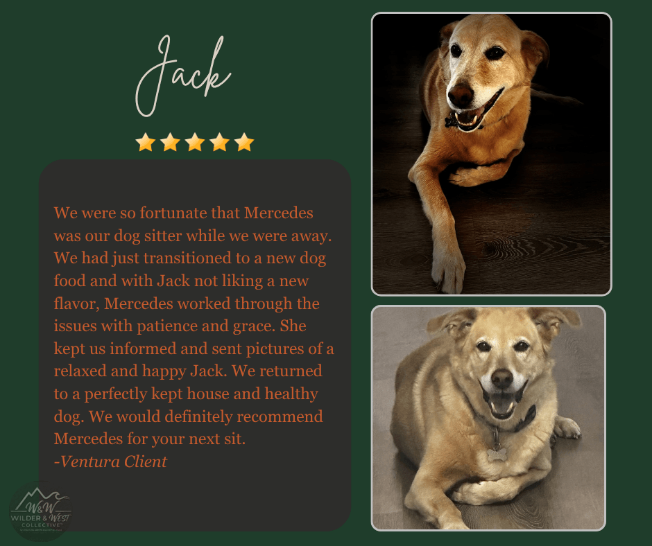 Verified Pet Management Review - Ventura Client