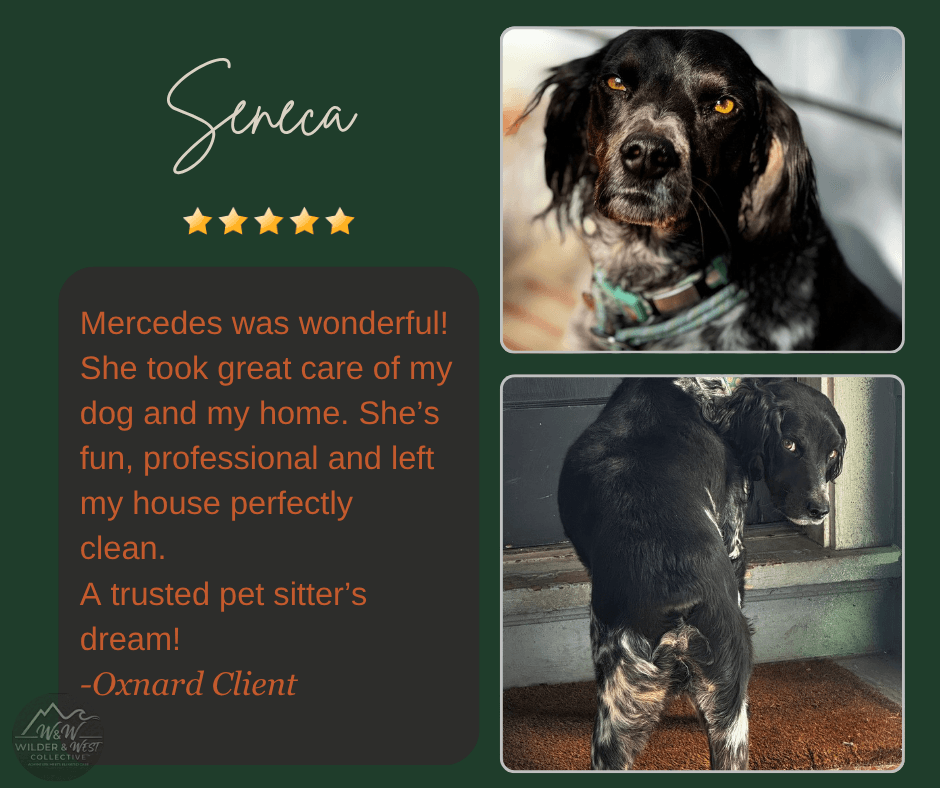 Verified Pet Management Review - Santa Clarita Client
