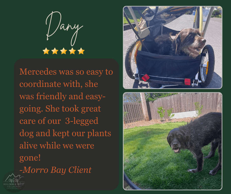 Verified Pet Management Review -  Oxnard Client
