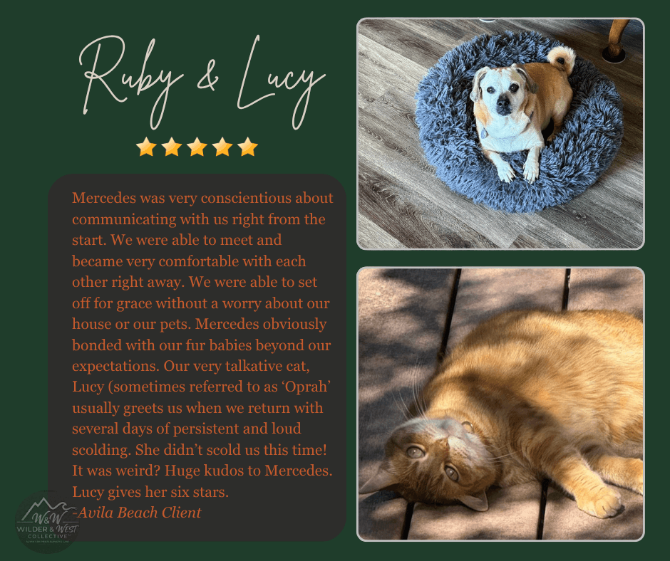 Verified Pet Management Review -  Morro Bay Client