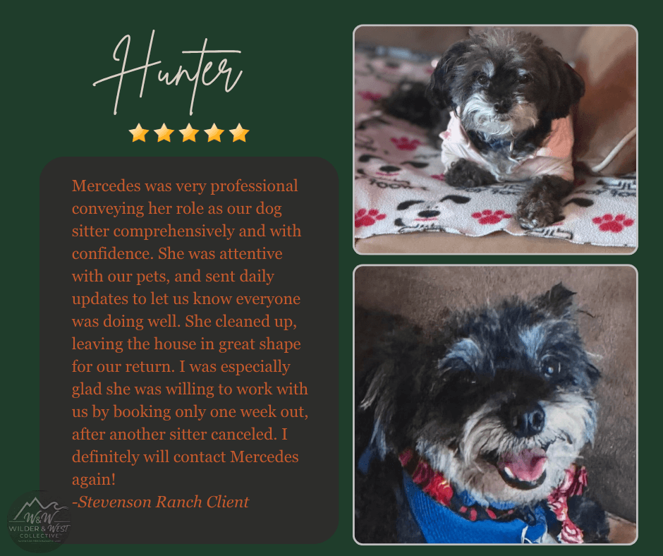 Verified Pet Management Review - Stevenson Ranch Client
