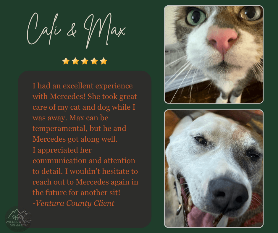 Verified Pet Management Review - Santa Barbara Client