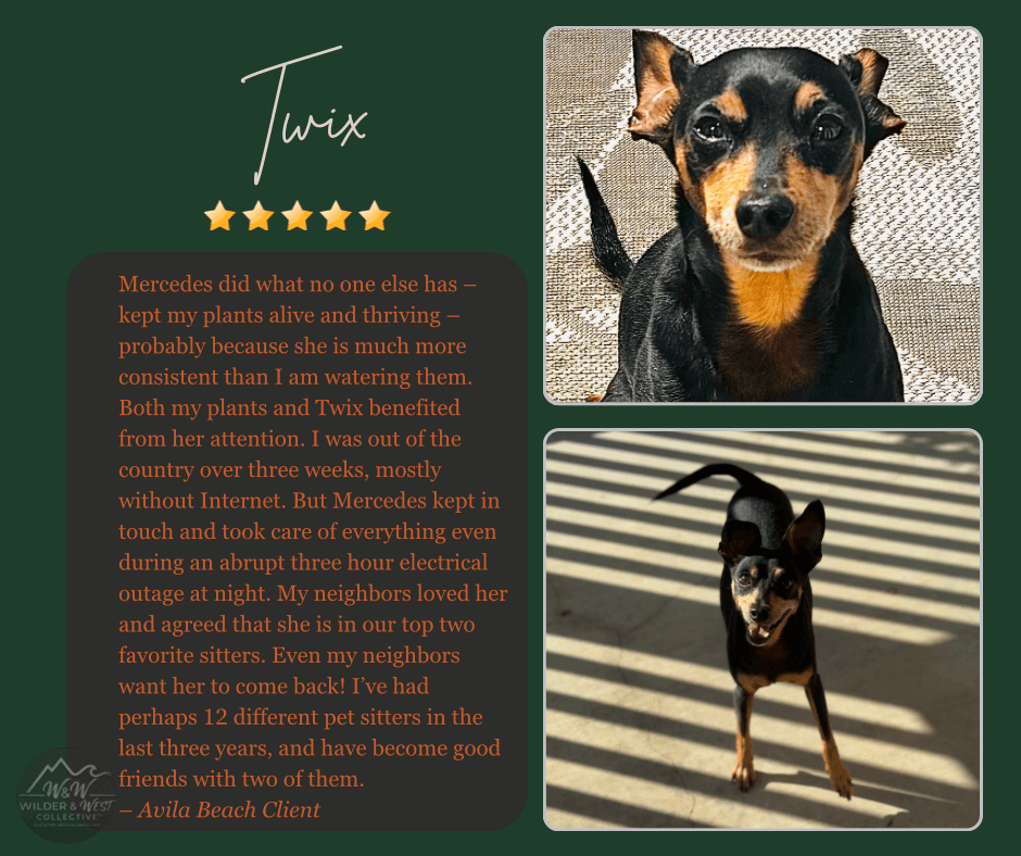 Verified Pet Management Review - Avila Beach Client