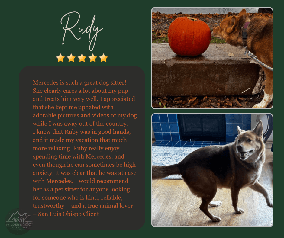 Verified Pet Management Review - San Luis Obispo Client