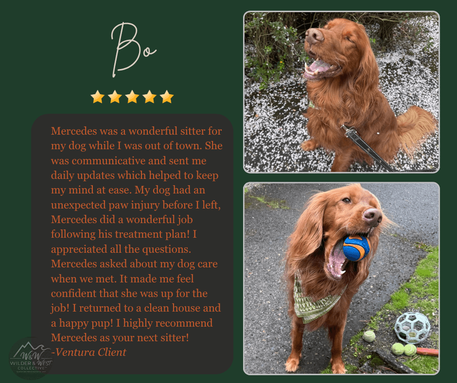 Verified Pet Management Review - Santa Barbara Client