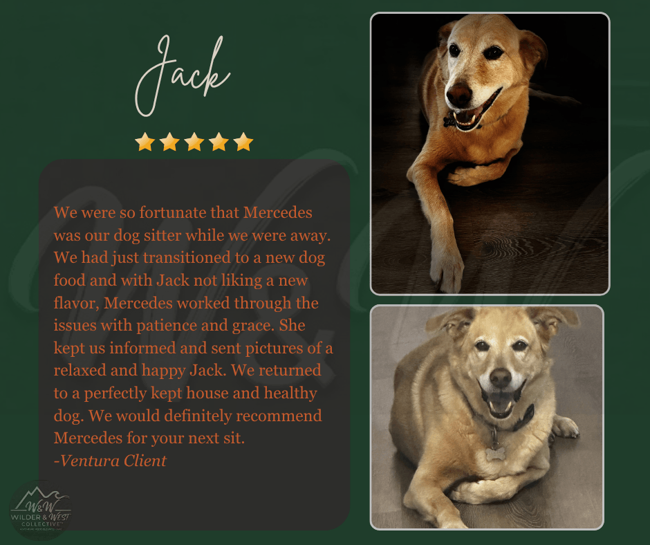 Verified Pet Management Review - Ventura Client