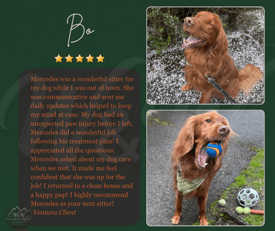Verified Pet Management Review - Santa Barbara Client