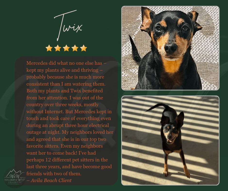 Verified Pet Management Review - Avila Beach Client